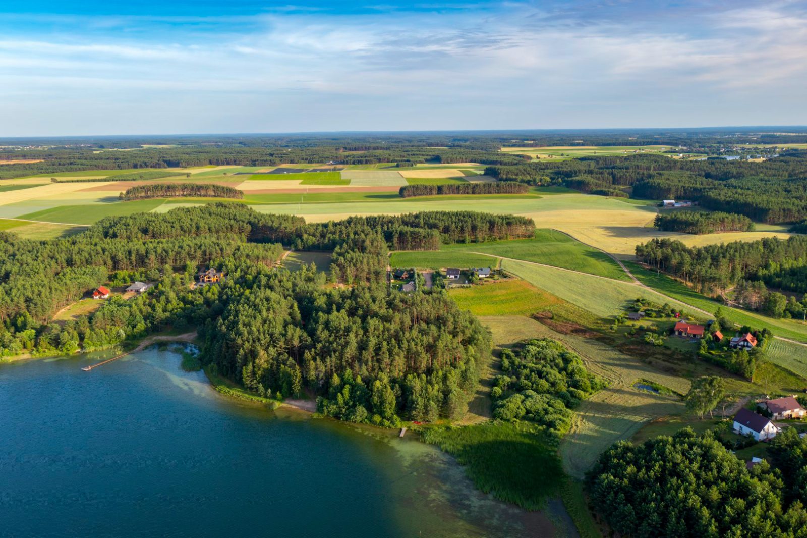 Aerial view of the area